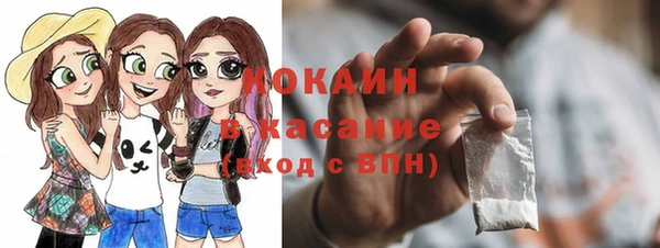 индика Красноперекопск