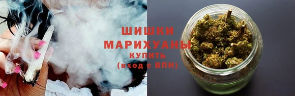 индика Красноперекопск
