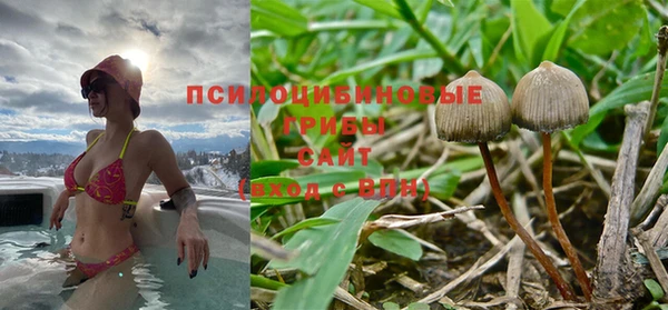 Альфа ПВП Краснослободск