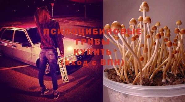 индика Красноперекопск