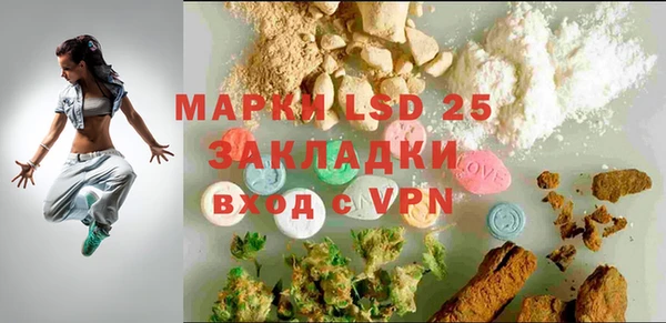 индика Красноперекопск